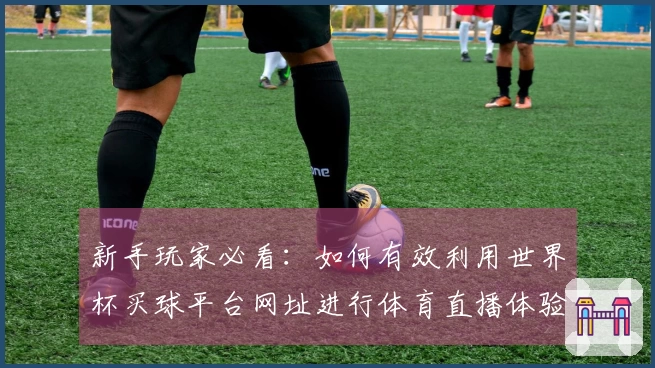 新手玩家必看：如何有效利用世界杯买球平台网址进行体育直播体验