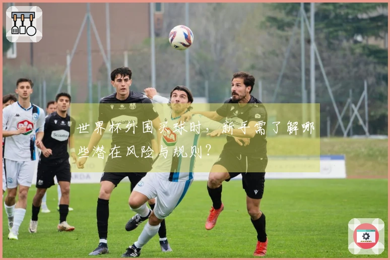 世界杯外围买球时,新手需了解哪些潜在风险与规则?