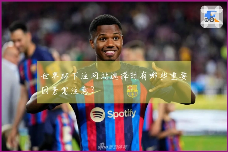 世界杯下注网站选择时有哪些重要因素需注意?