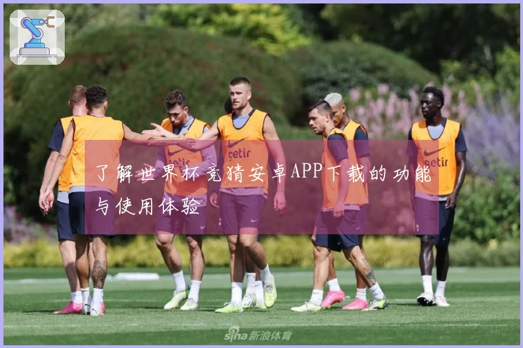 了解世界杯竞猜安卓APP下载的功能与使用体验