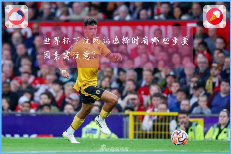 世界杯下注网站选择时有哪些重要因素需注意？