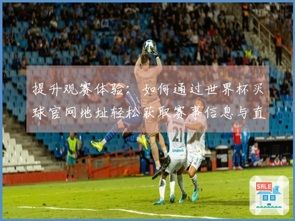 提升观赛体验：如何通过世界杯买球官网地址轻松获取赛事信息与直播链接