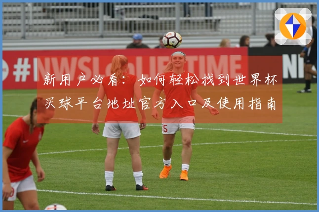 新用户必看:如何轻松找到世界杯买球平台地址官方入口及使用指南