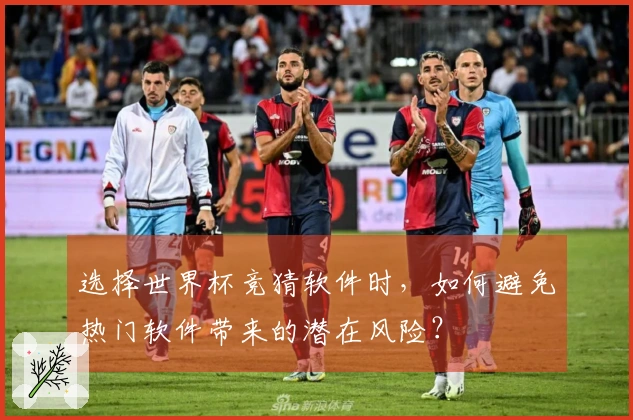 选择世界杯竞猜软件时,如何避免热门软件带来的潜在风险?