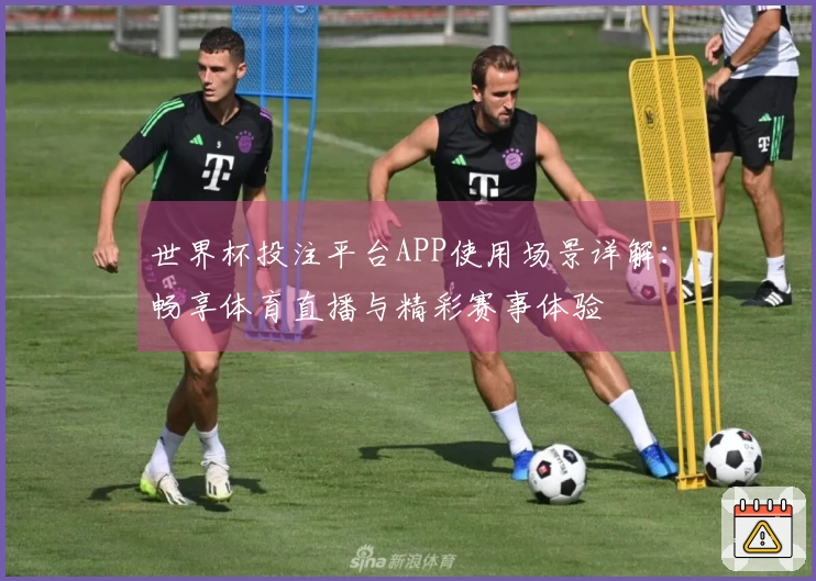 世界杯投注平台APP使用场景详解：畅享体育直播与精彩赛事体验