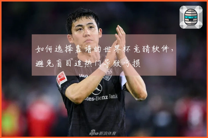 如何选择靠谱的世界杯竞猜软件，避免盲目追热门导致亏损