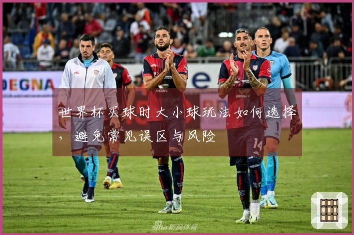 世界杯买球时大小球玩法如何选择,避免常见误区与风险