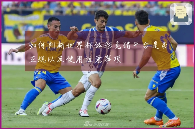 如何判断世界杯体彩竞猜平台是否正规以及使用注意事项
