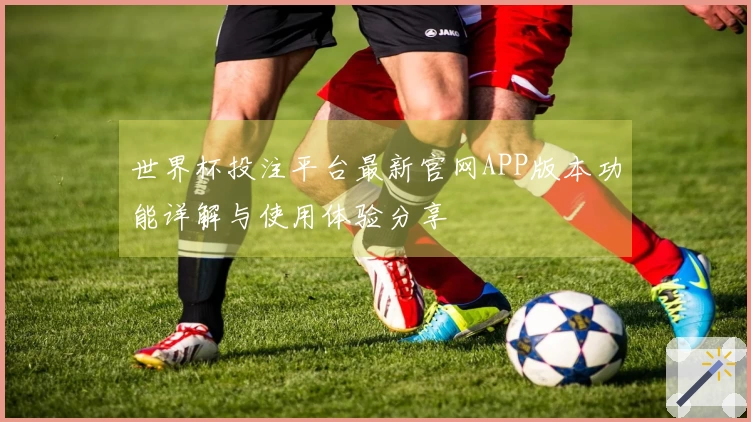 世界杯投注平台最新官网APP版本功能详解与使用体验分享