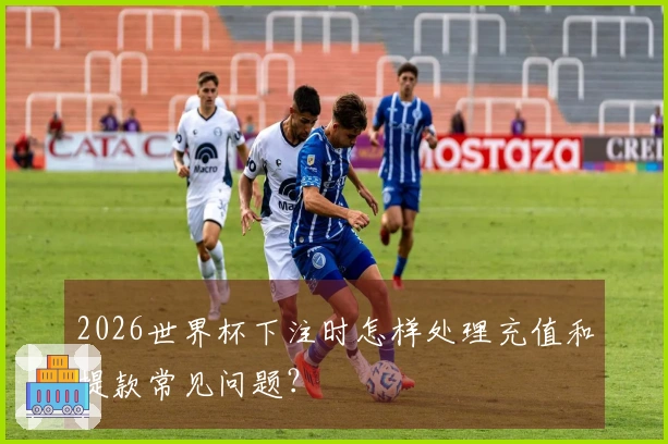 2026世界杯下注时怎样处理充值和提款常见问题？