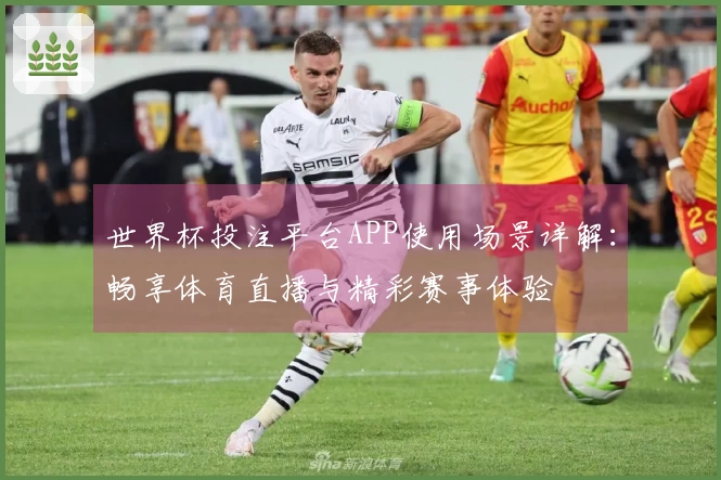 世界杯投注平台APP使用场景详解：畅享体育直播与精彩赛事体验
