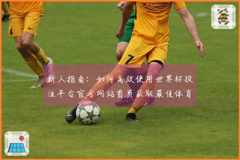 新人指南：如何高效使用世界杯投注平台官方网站首页获取最佳体育直播体验