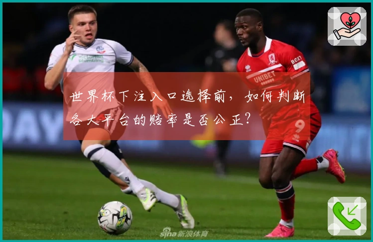 世界杯下注入口选择前，如何判断各大平台的赔率是否公正？